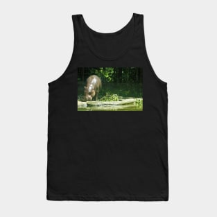 Pygmy Hippo Tank Top